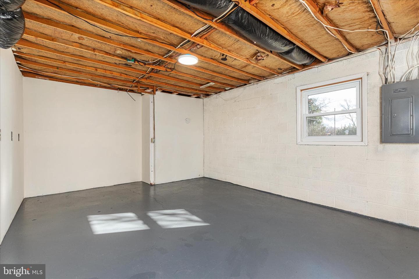 113 Williamson Road photo 25