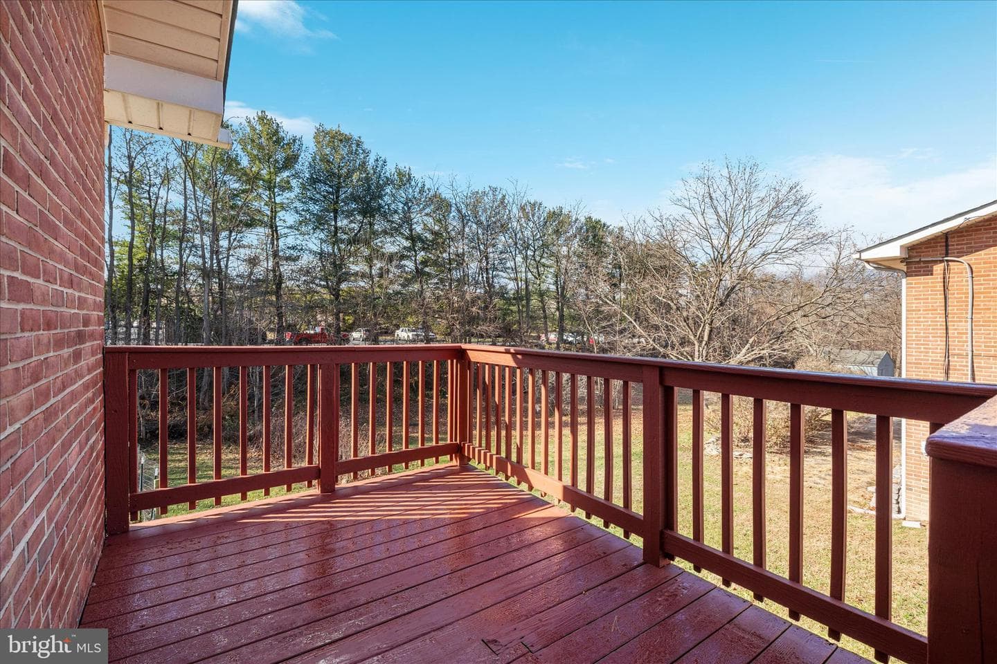 113 Williamson Road photo 29