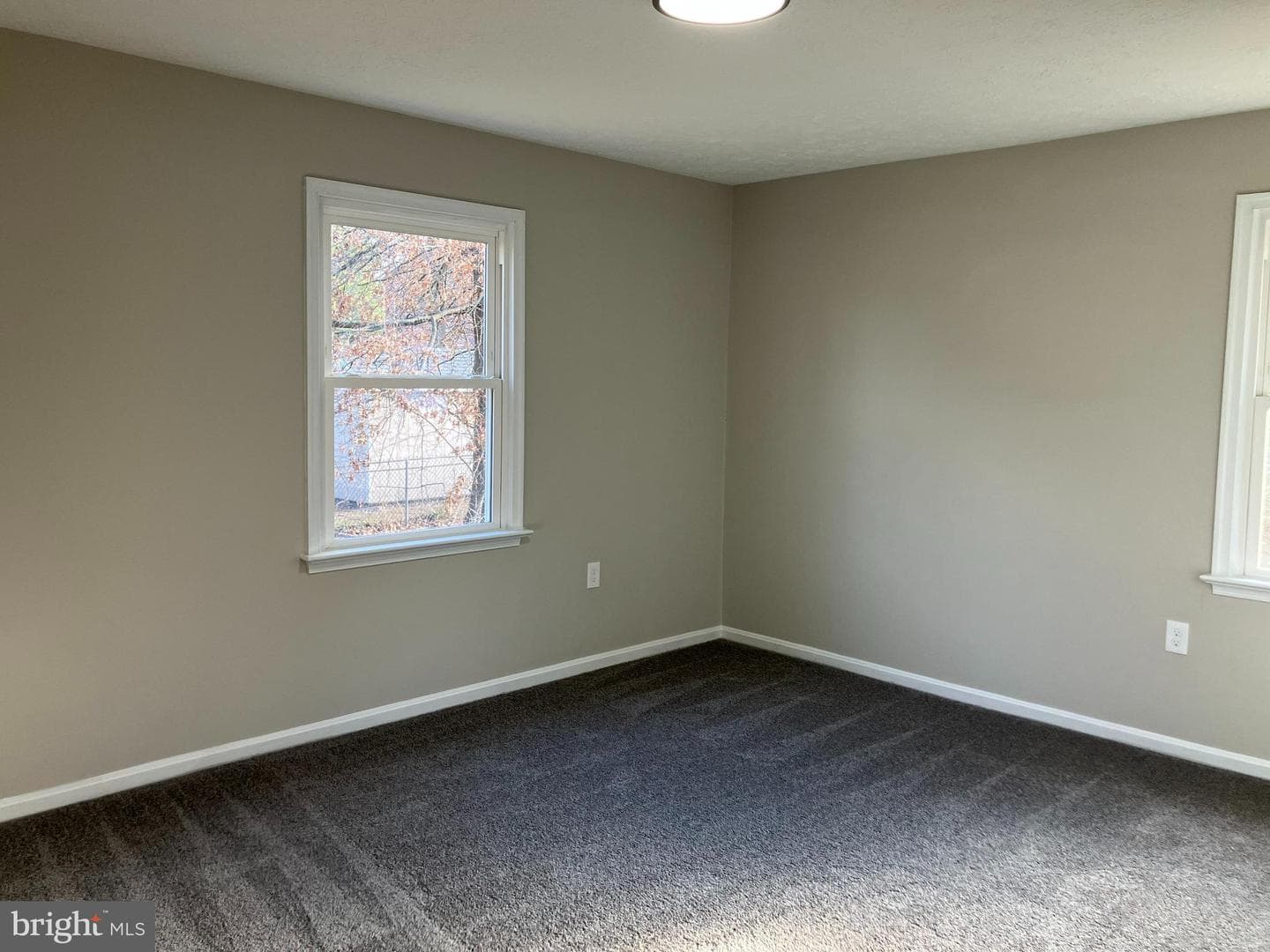 114 Buckingham Drive photo 22