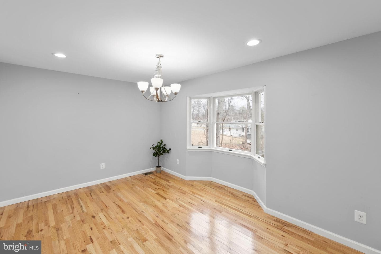 113 Killbuck Trail photo 9