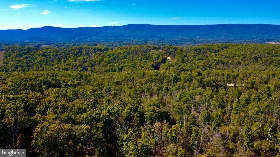 152.44 Acres Lot 2 Laurel Grove Road photo 10