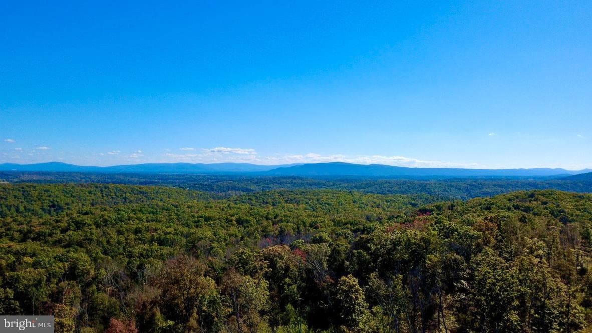 152.44 Acres Lot 2 Laurel Grove Road photo 13