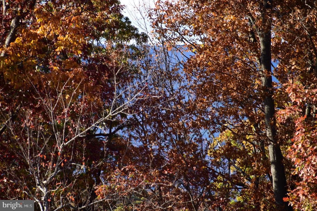 152.44 Acres Lot 2 Laurel Grove Road photo 7