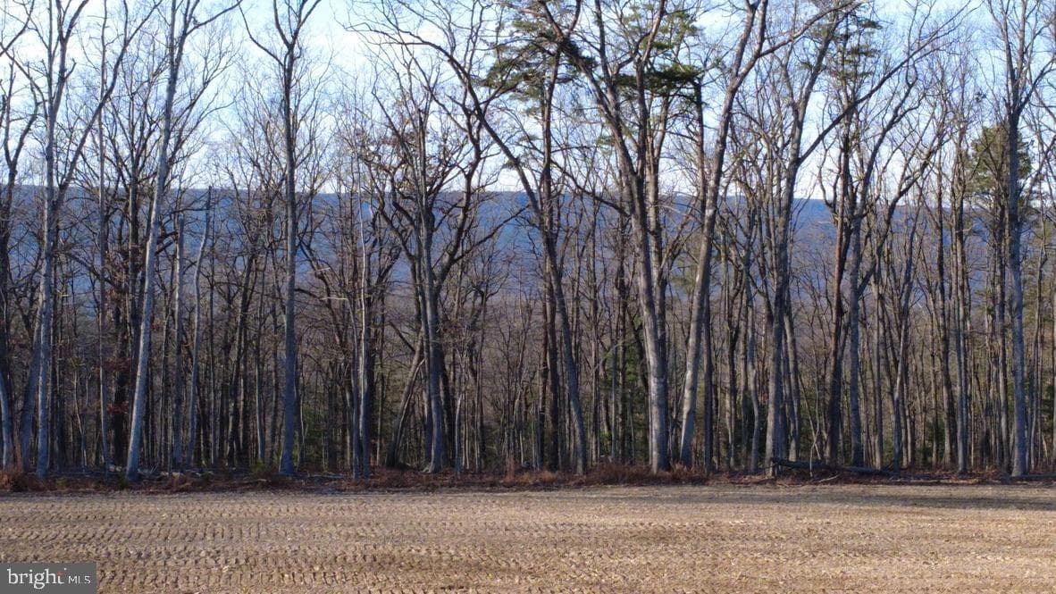 152.44 Acres Lot 2 Laurel Grove Road photo 8