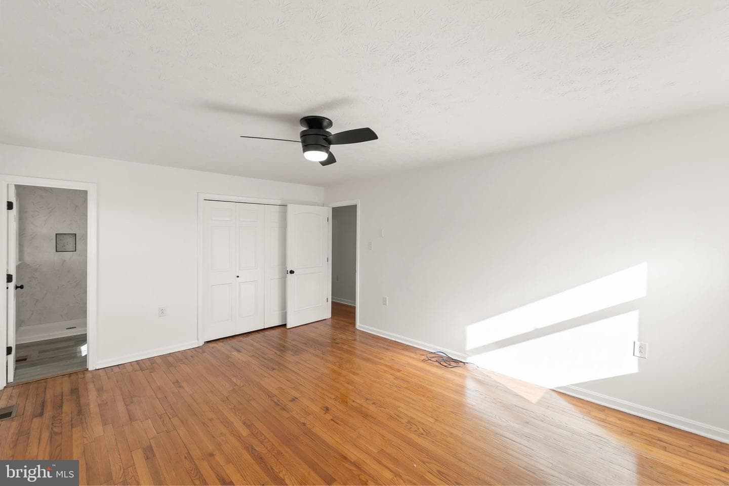 120 Amelia Avenue photo 18
