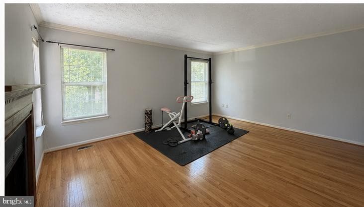 407 Tamarack Circle photo 17