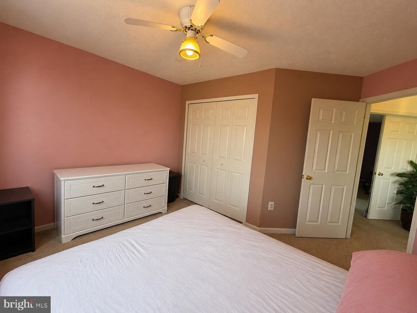 407 Tamarack Circle photo 25