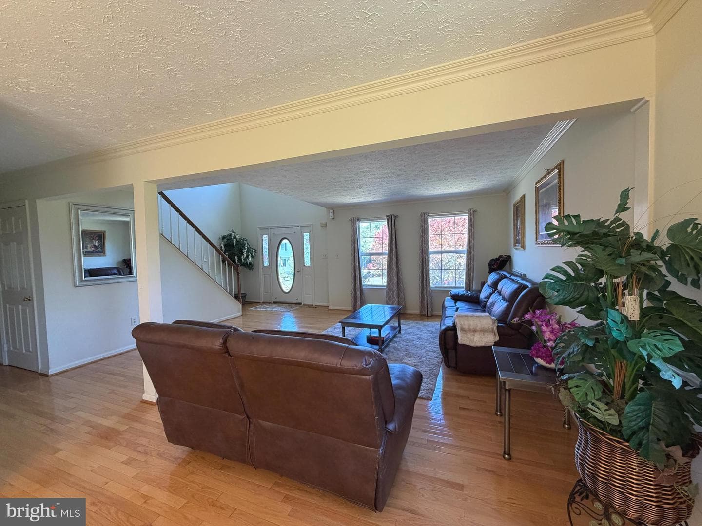 407 Tamarack Circle photo 9