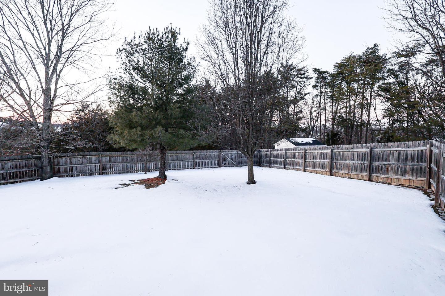 117 Whipp Drive photo 38