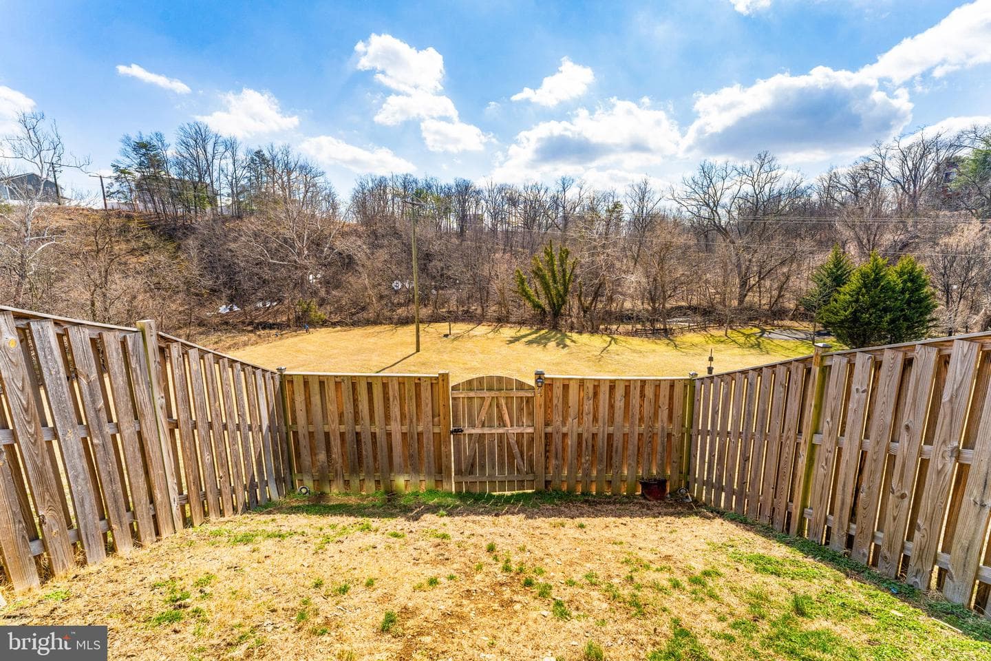 113 Worsham Terrace photo 58