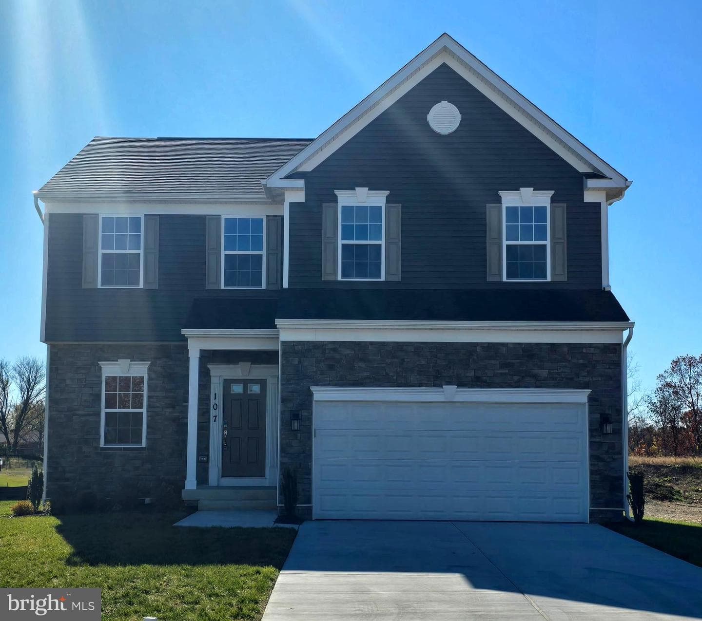 161 Williamson Road photo 7