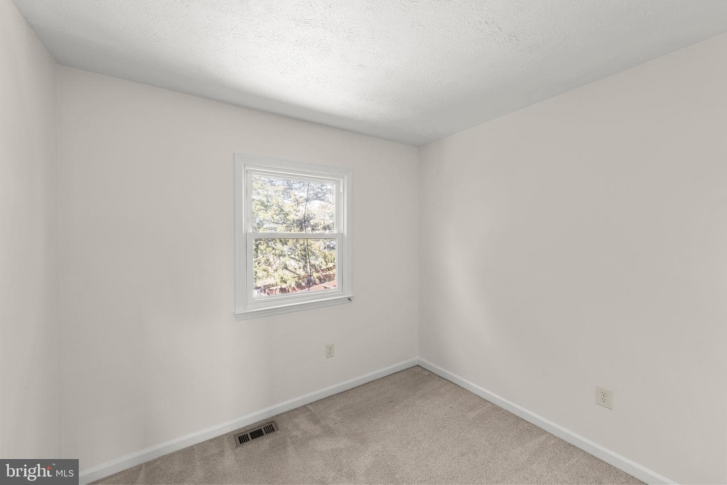 109 Ash Hollow Drive photo 15