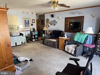 127 Buchannan Drive photo 18