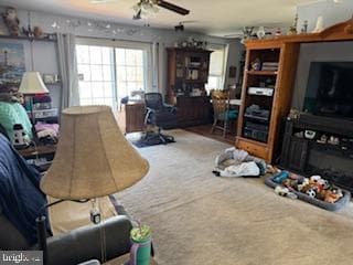 127 Buchannan Drive photo 20