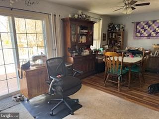 127 Buchannan Drive photo 21