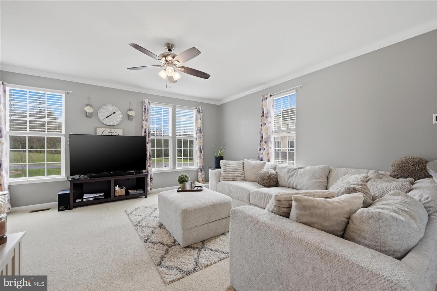101 Trout Lily Drive photo 13
