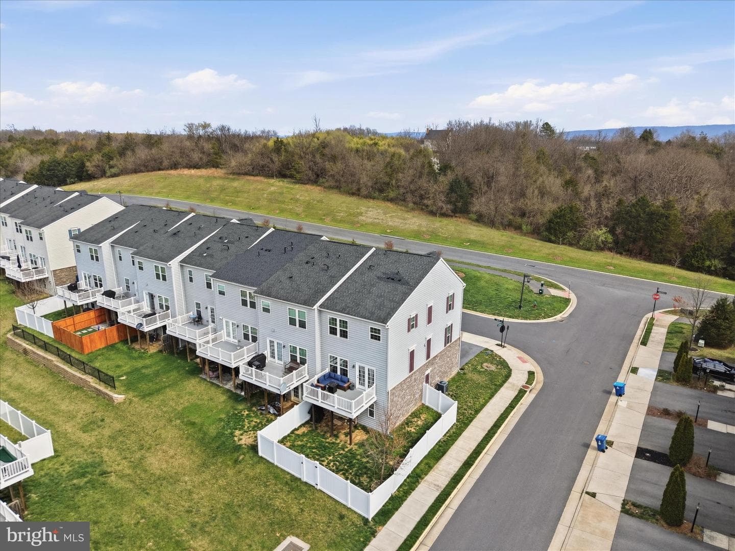101 Trout Lily Drive photo 46