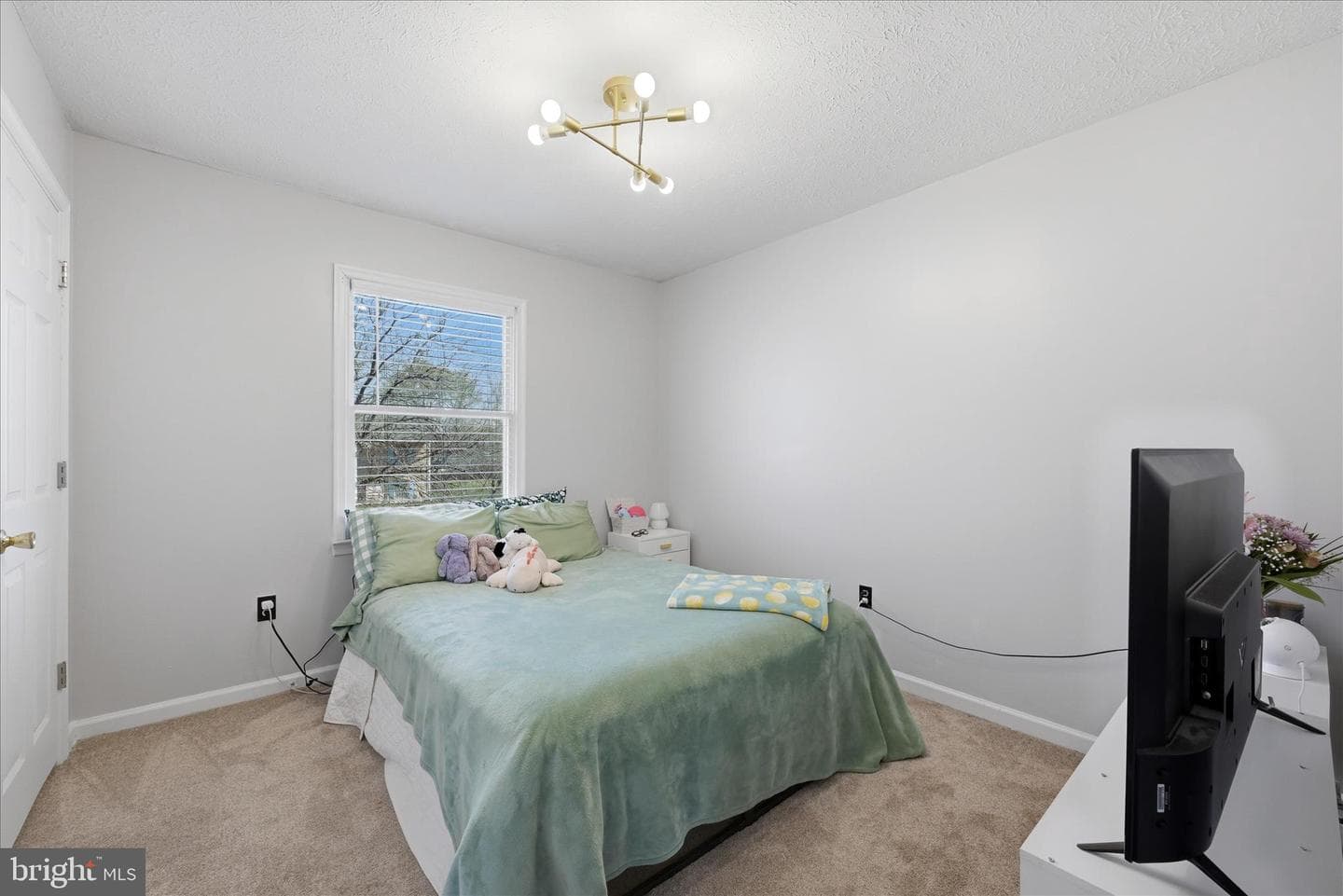 203 Ivory Drive photo 17