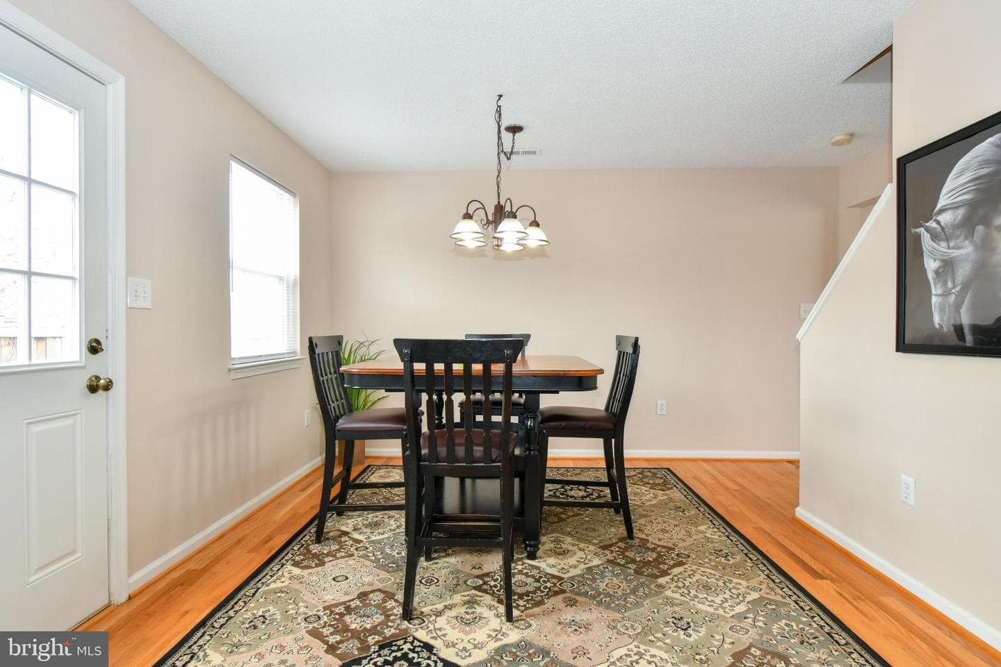 407 Emily Lane photo 7