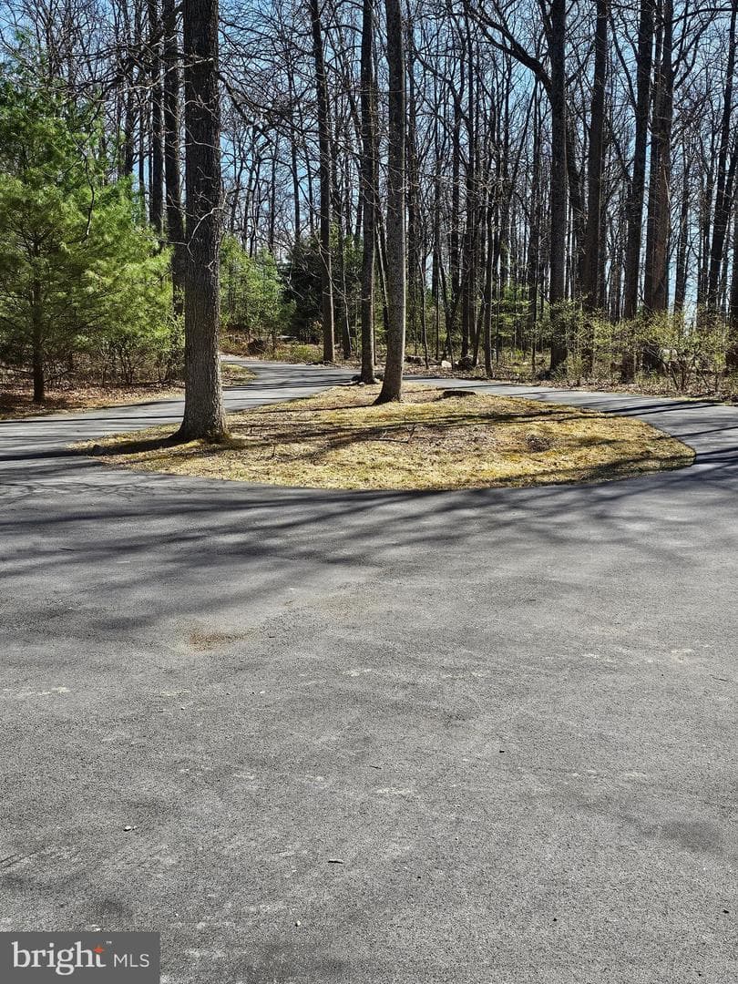 274 Woodside Lane photo 82