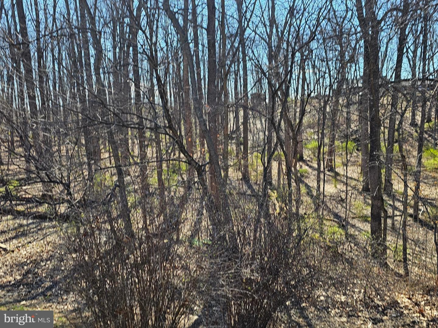274 Woodside Lane photo 86