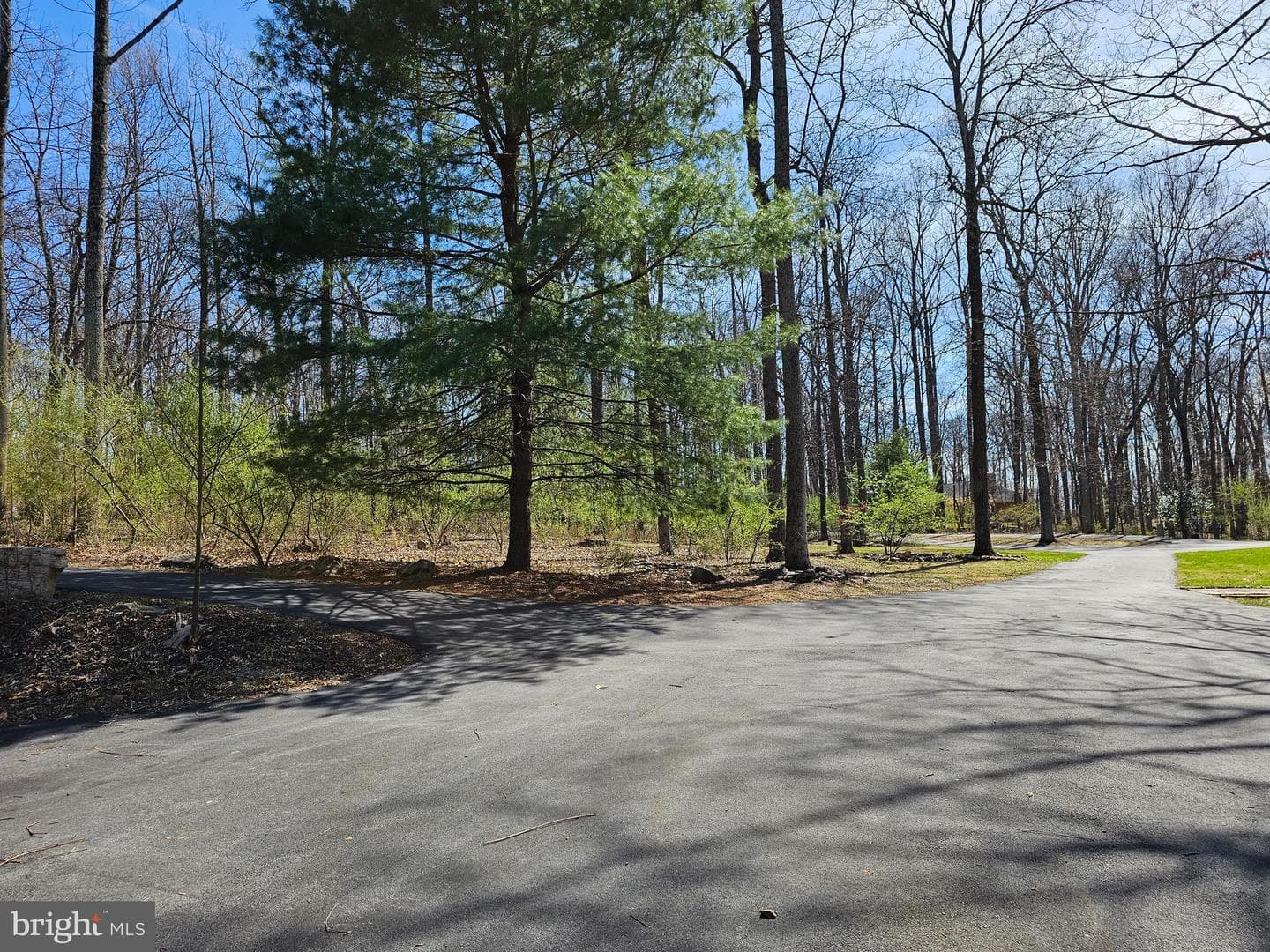 274 Woodside Lane photo 95