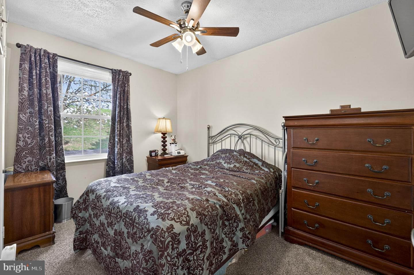 5350 Water Street photo 6