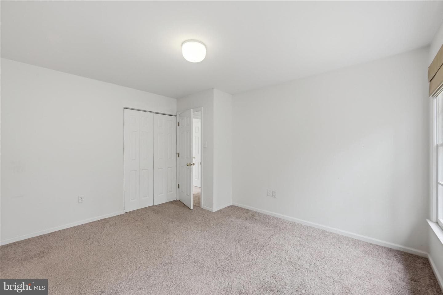 256 Brookneil Drive photo 40