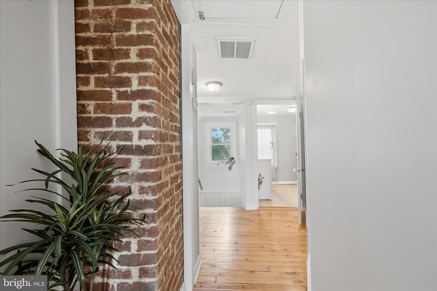 1239 Cedar Grove Road photo 45