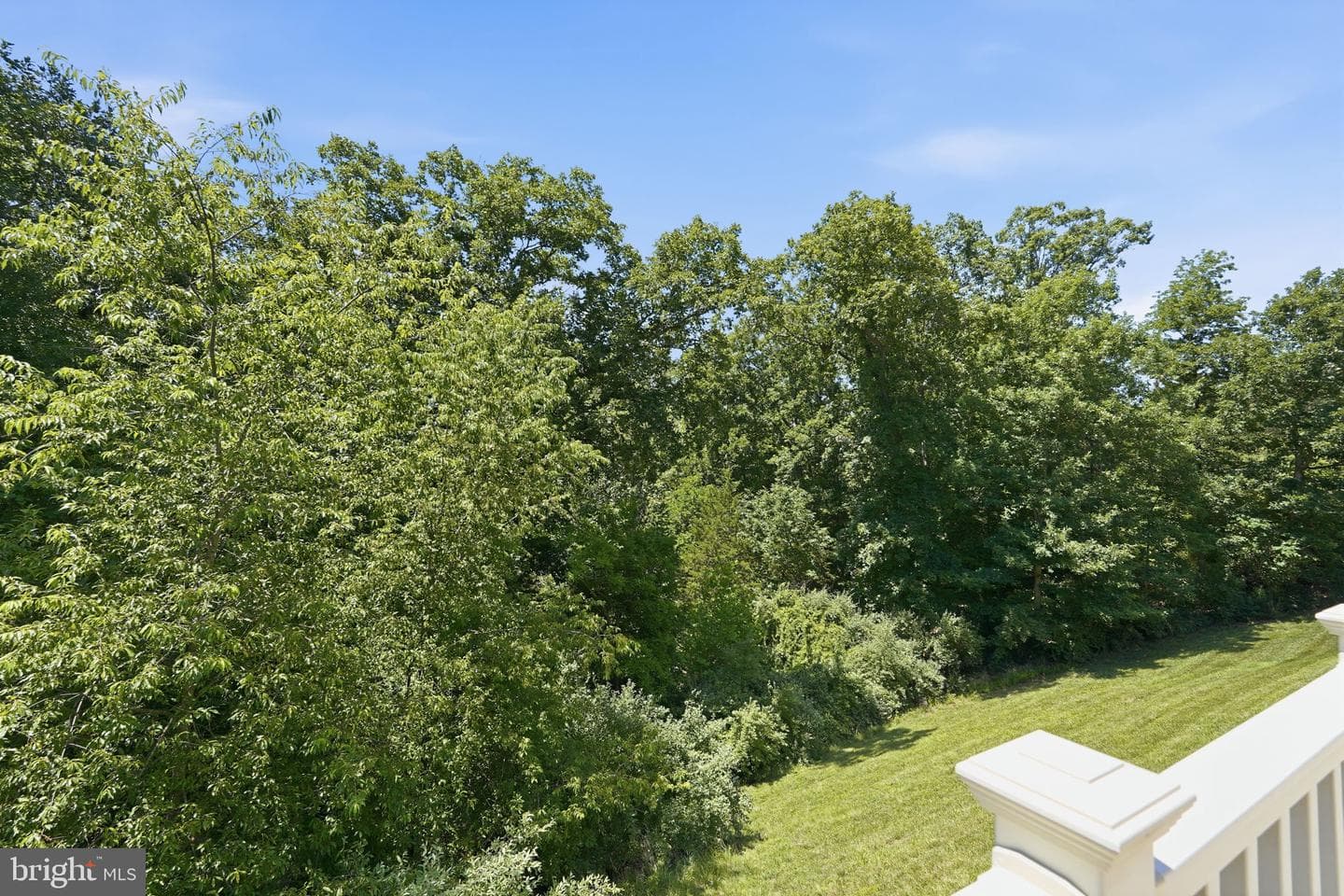 117 Harvester Drive photo 22