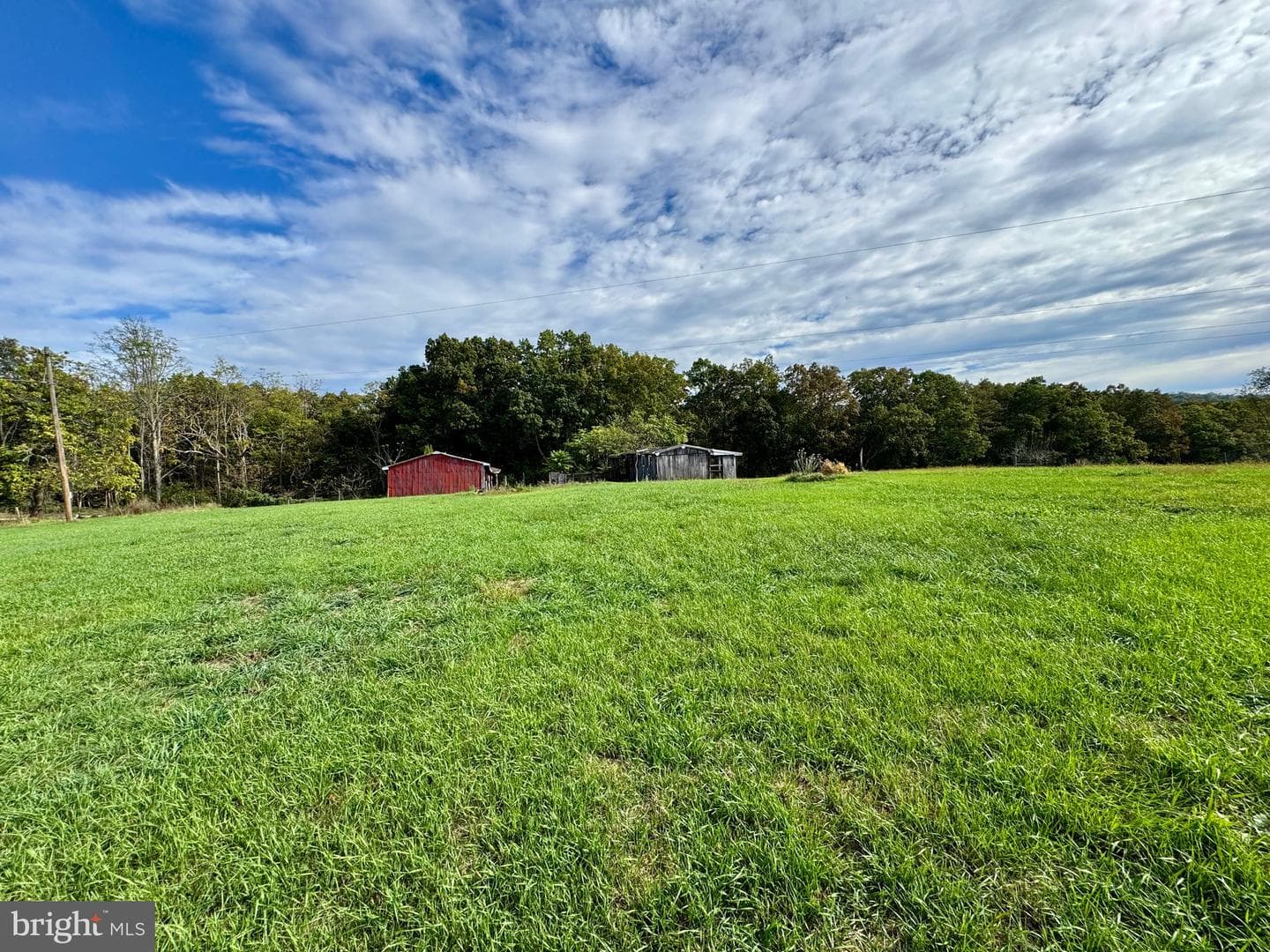 220 Snappy Lane photo 40
