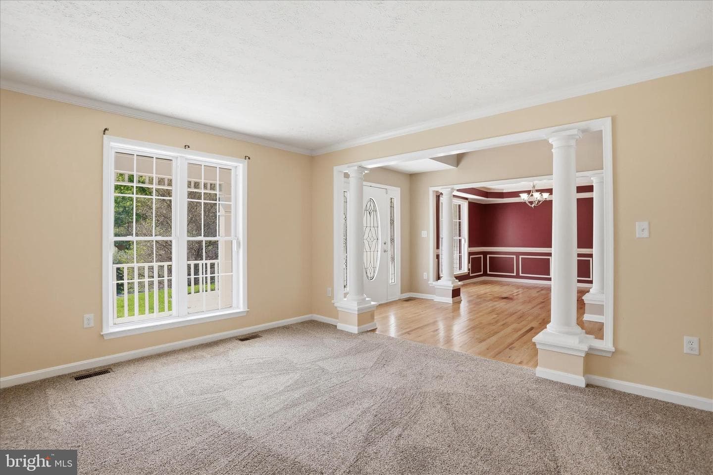293 Skylar Lanes Way photo 20