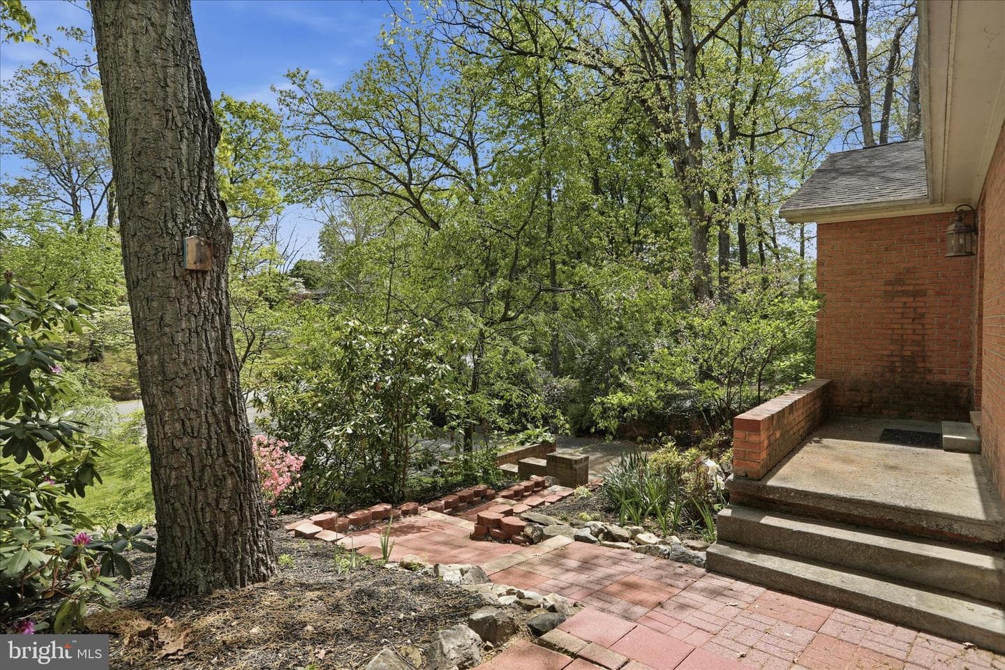 107 Oak Ridge Drive photo 41