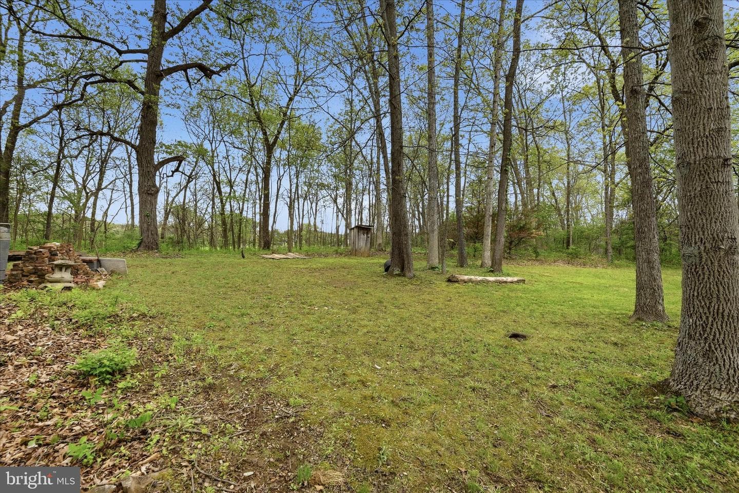294 Green Spring Drive photo 53