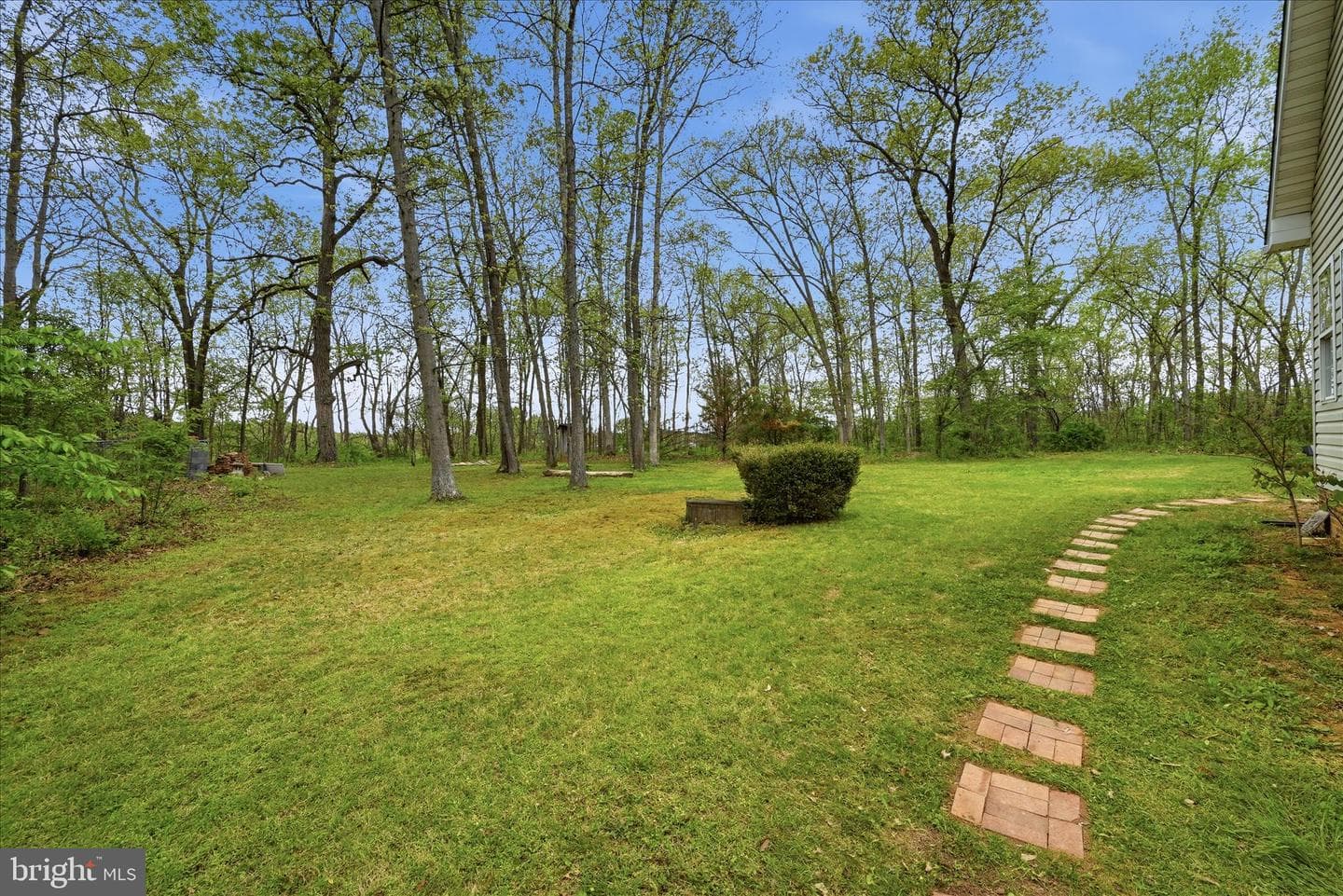 294 Green Spring Drive photo 62