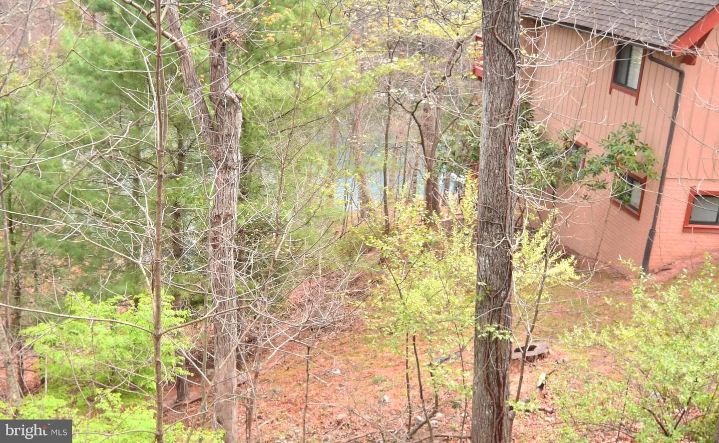 128 Dogwood Drive photo 11