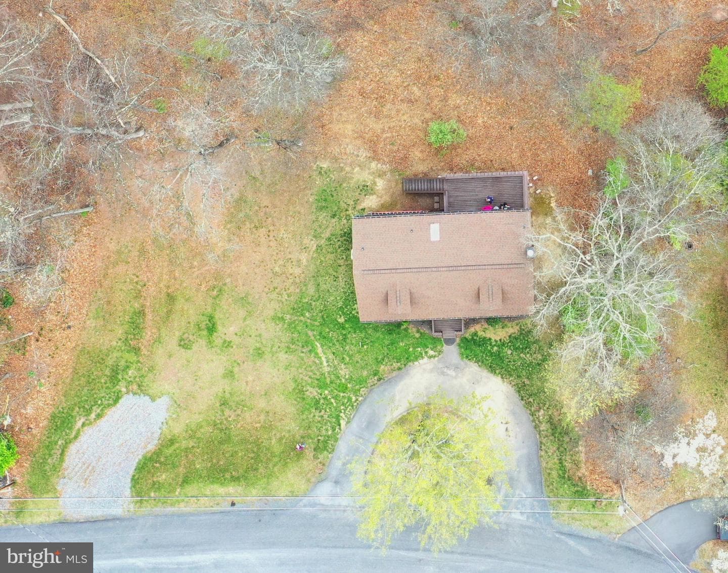 128 Dogwood Drive photo 4