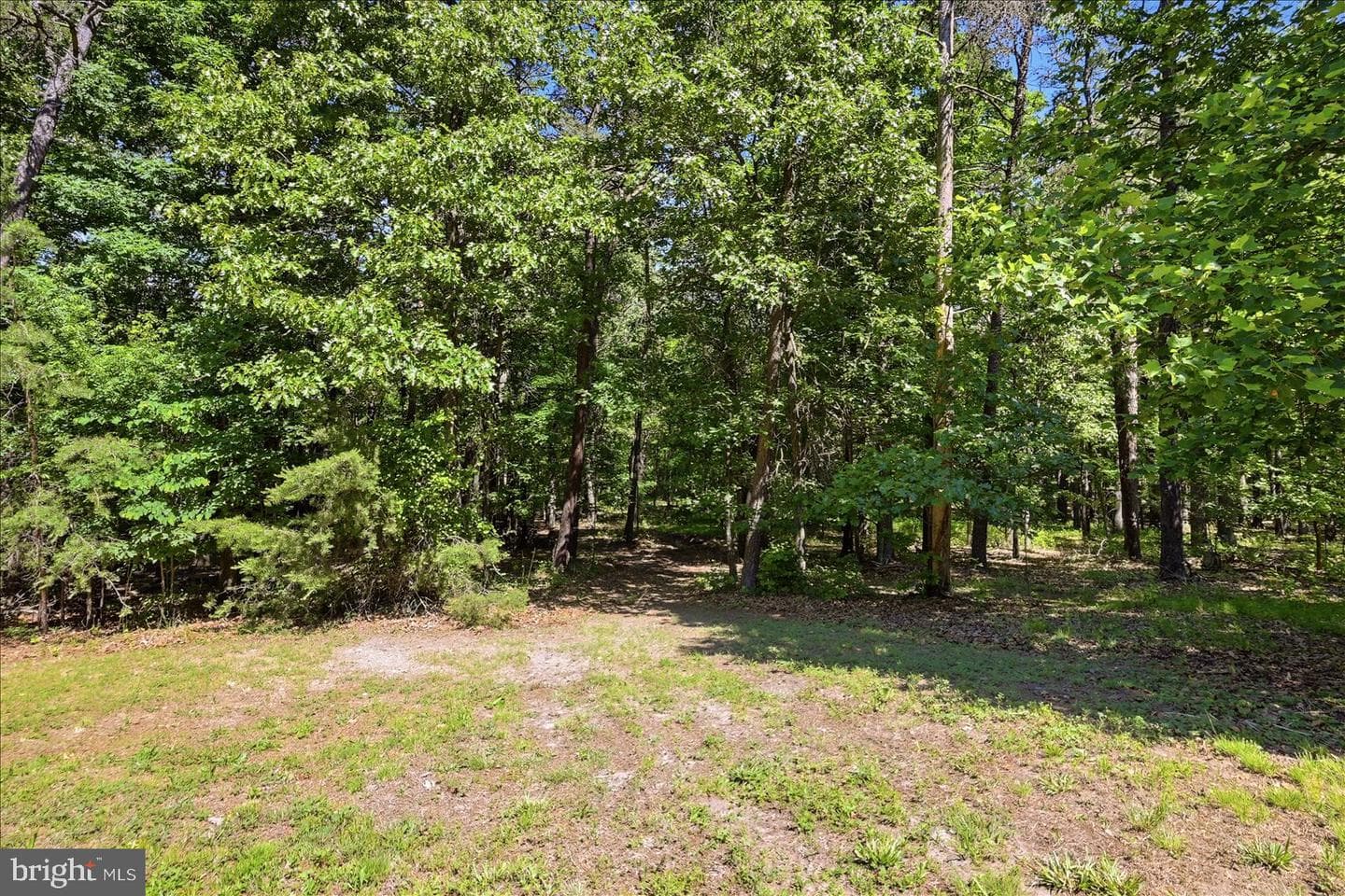 323 S Timber Ridge Road photo 61
