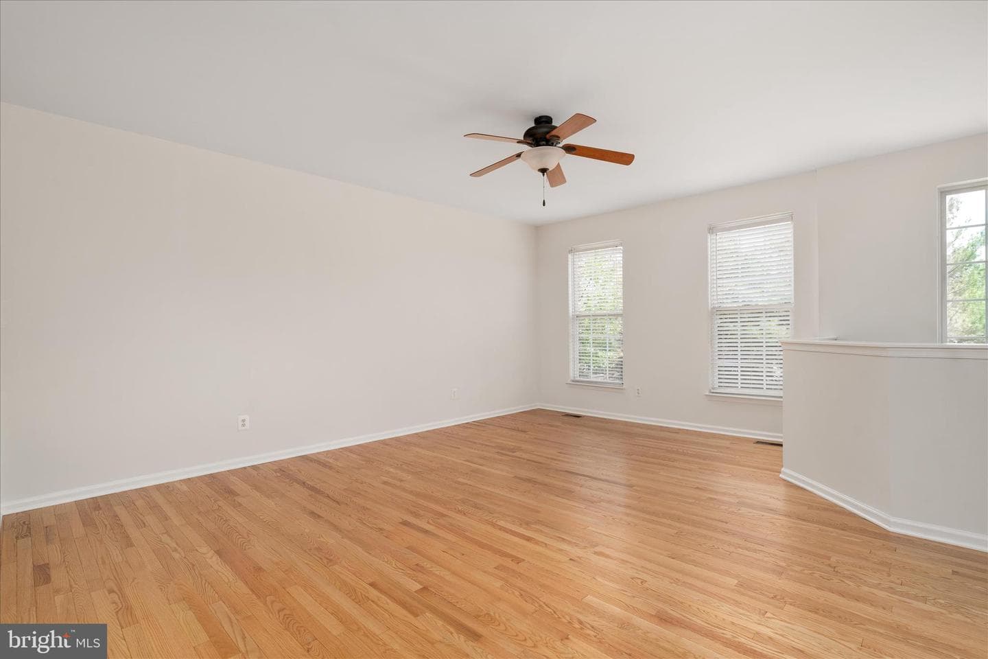 509 Hamilton Court photo 11