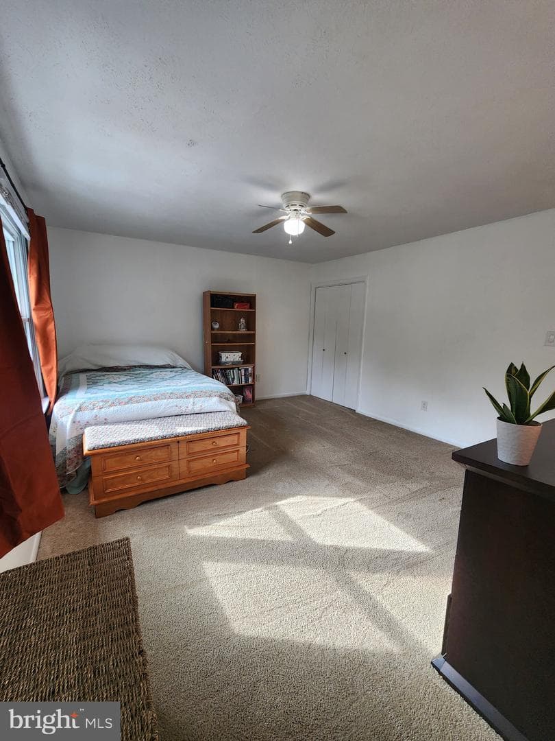 243 Brunswick Road photo 14