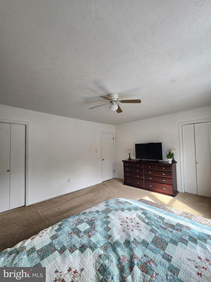 243 Brunswick Road photo 15