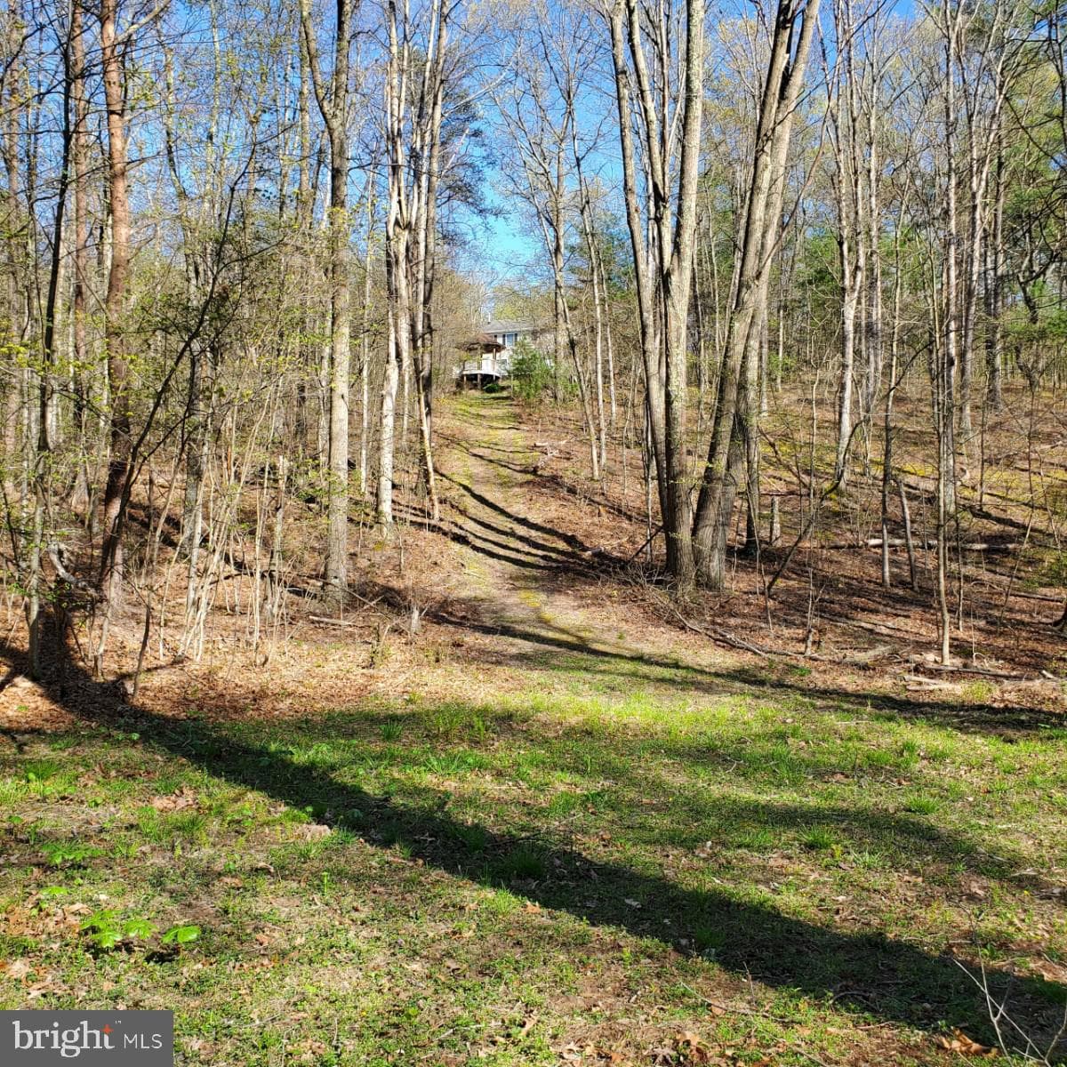 148 Arklow Drive photo 66