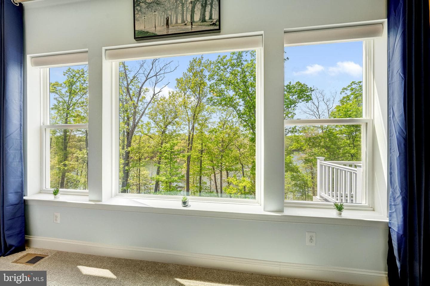 124 Yellow Birch photo 33