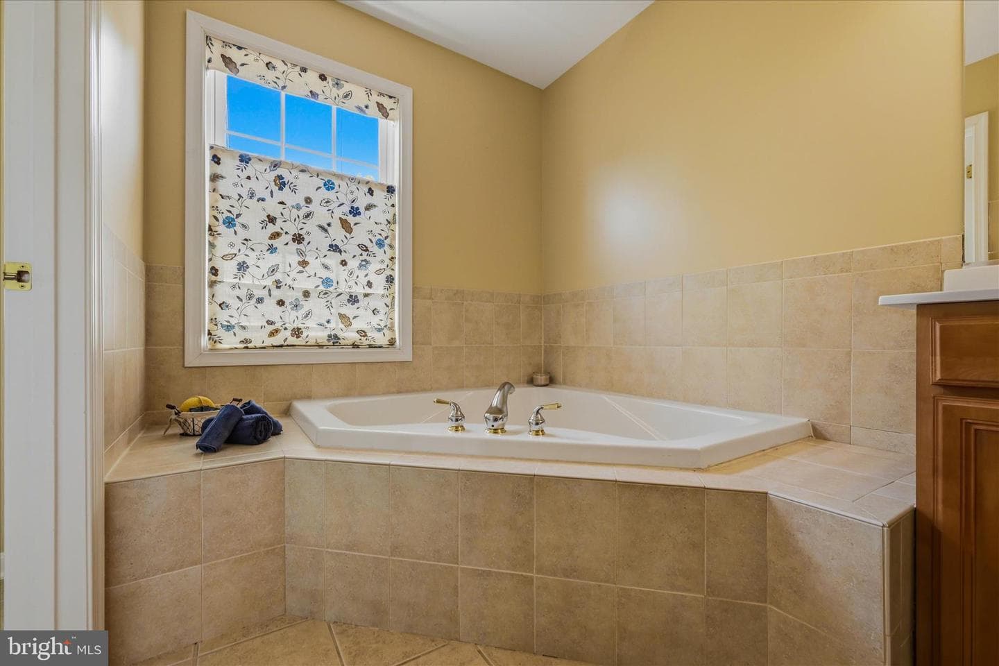 207 Stanley Drive photo 20