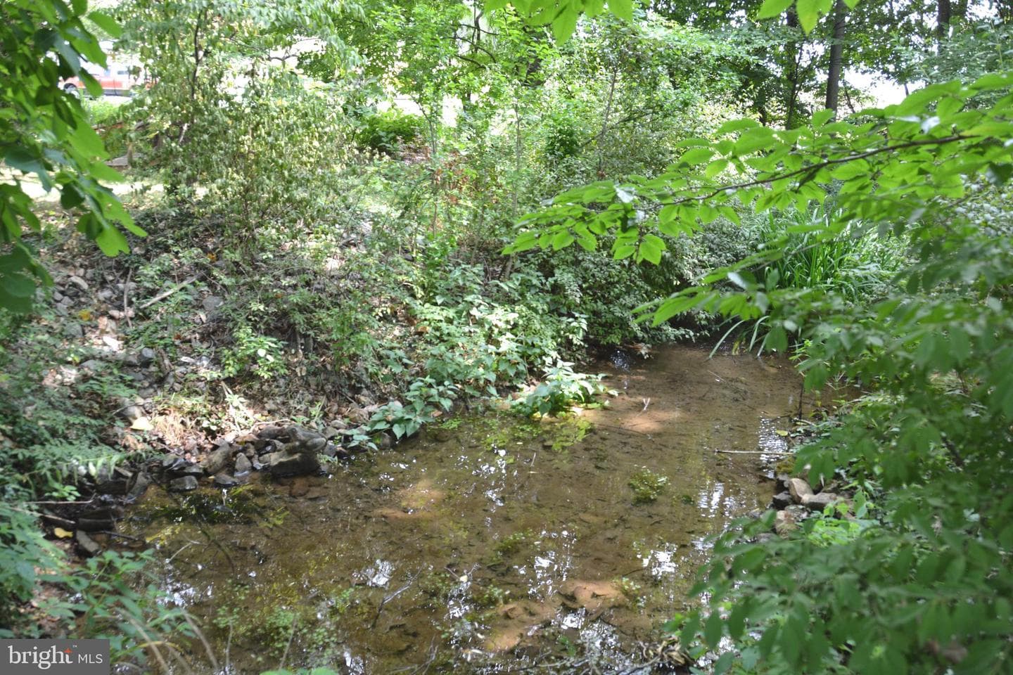 2431 Cedar Creek Grade photo 64