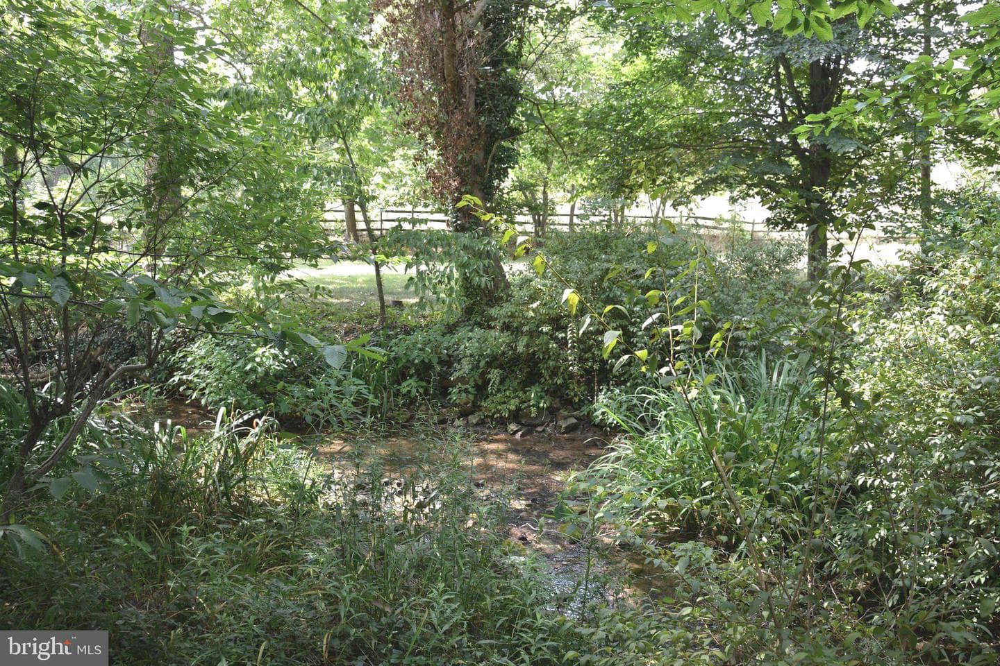 2431 Cedar Creek Grade photo 68