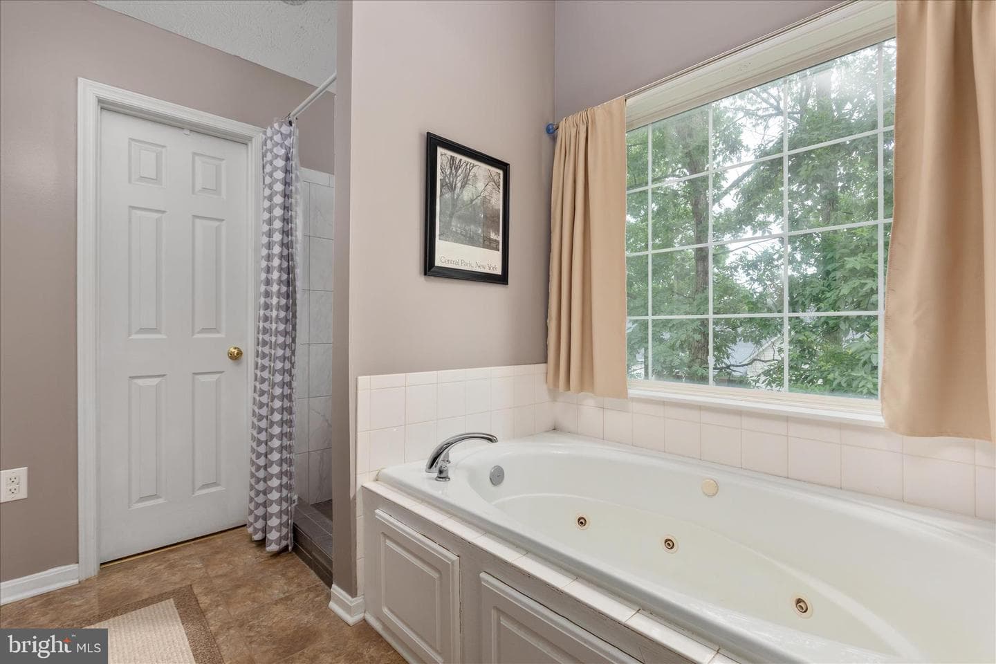 222 Cavalry Drive photo 20