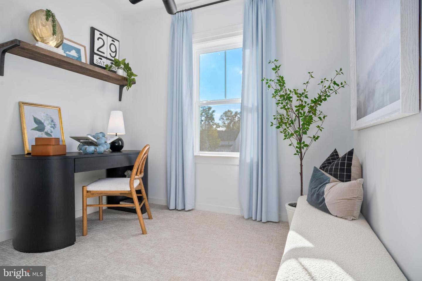 2434 Coriander Drive photo 6