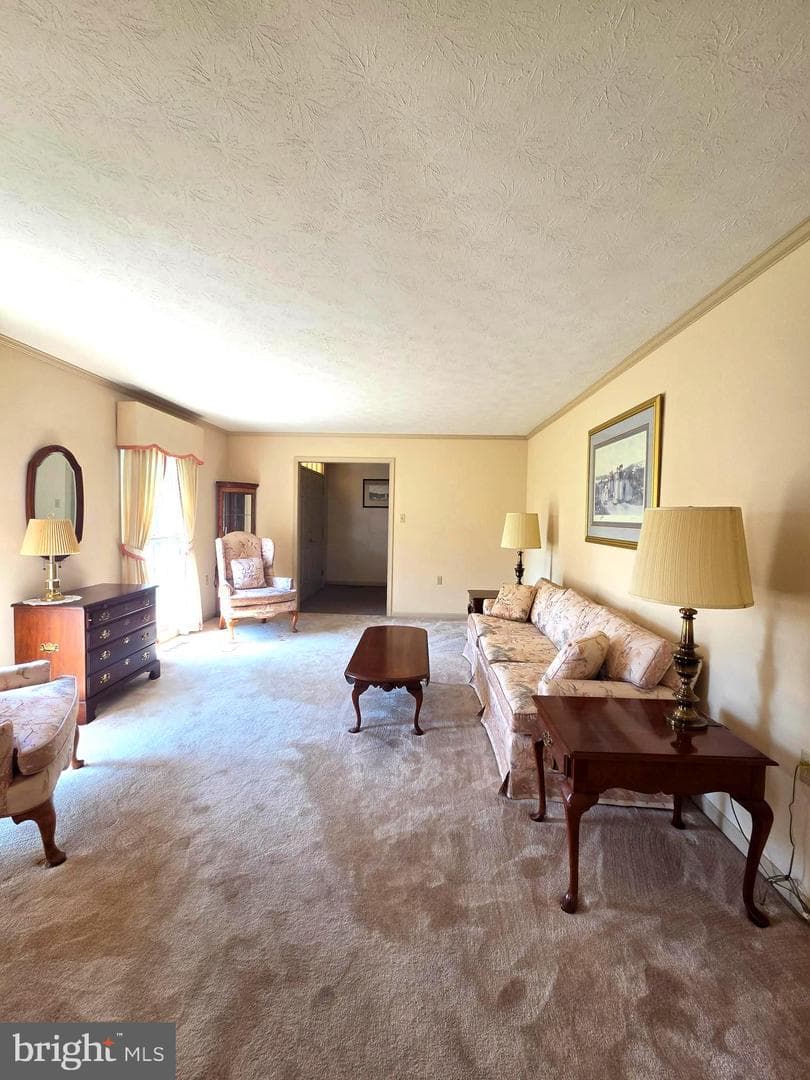 1611 Apple Pie Ridge Road photo 15