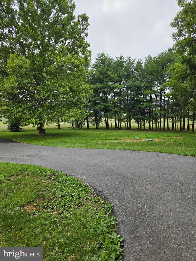 1611 Apple Pie Ridge Road photo 5